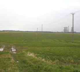 Thanet Rural site: East view