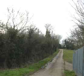 Thanet Rural site: West view